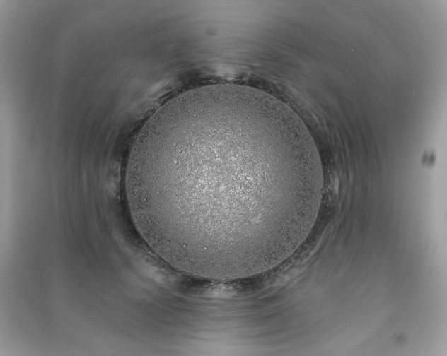 X0000091370656200708101533