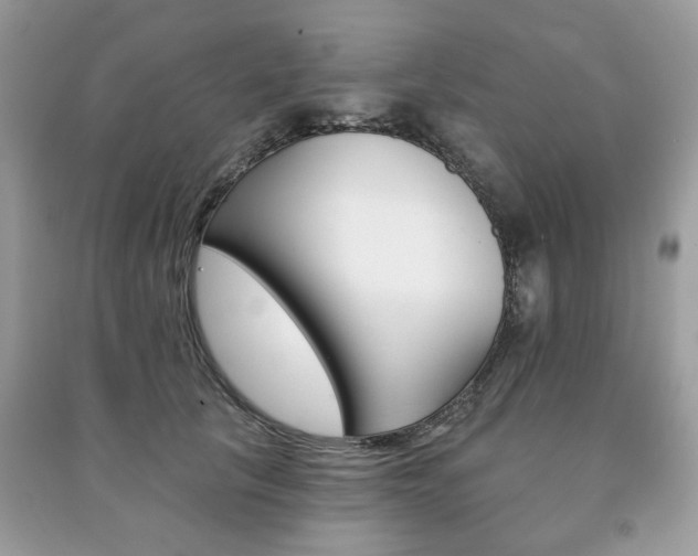 X0000091370657200708101533