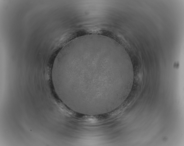 X0000091370658200708101533