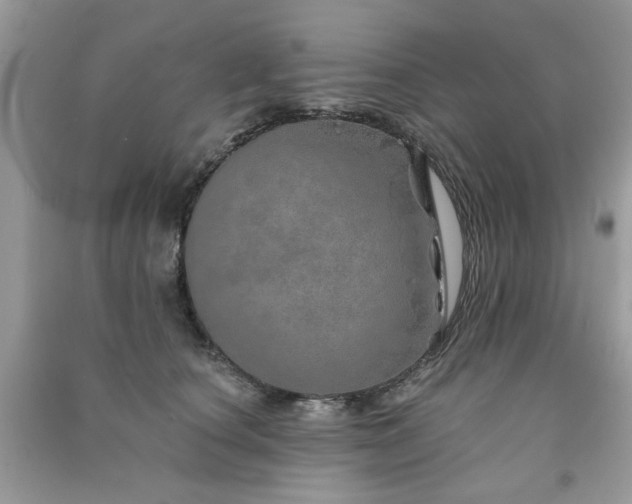 X0000091370660200708101533