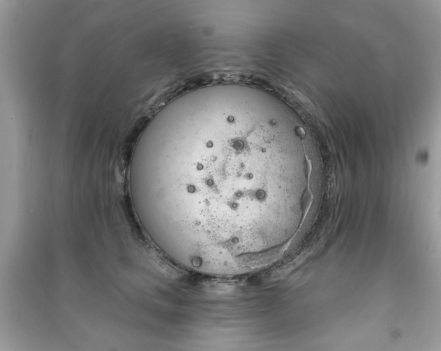 X0000091370661200708101533