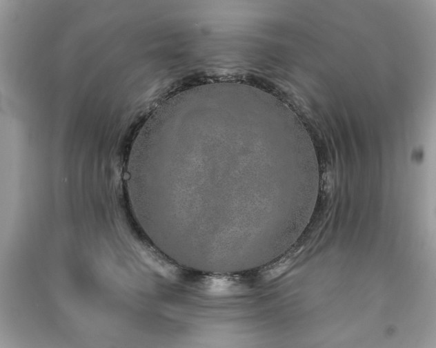 X0000091370662200708101533