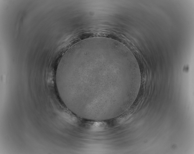 X0000091370663200708101533