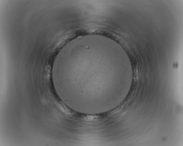 X0000091370664200708101533