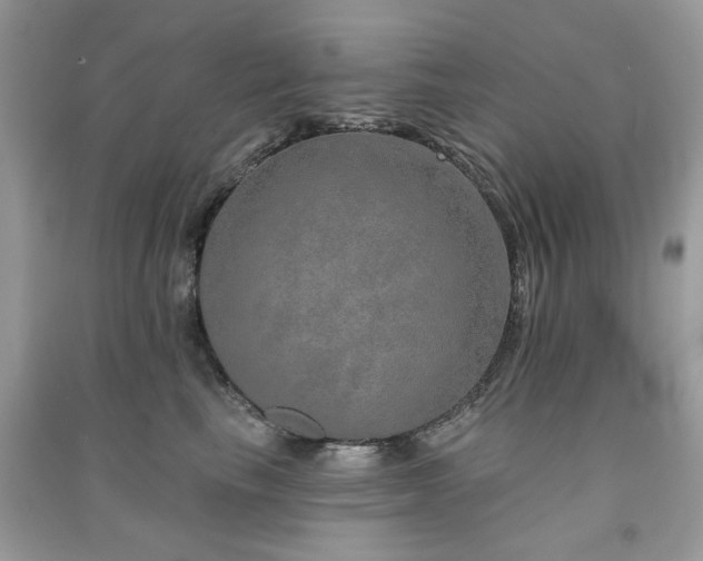 X0000091370665200708101533