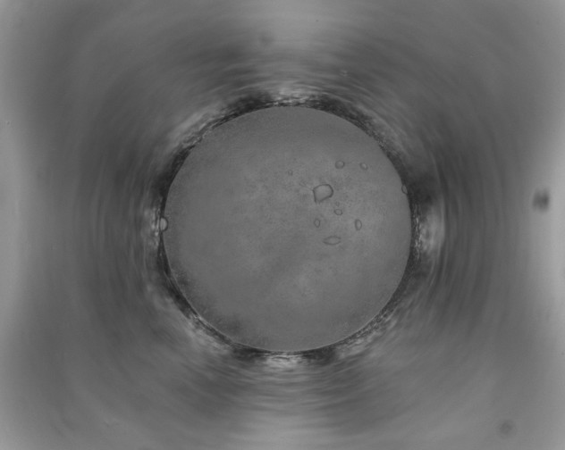 X0000091370666200708101533