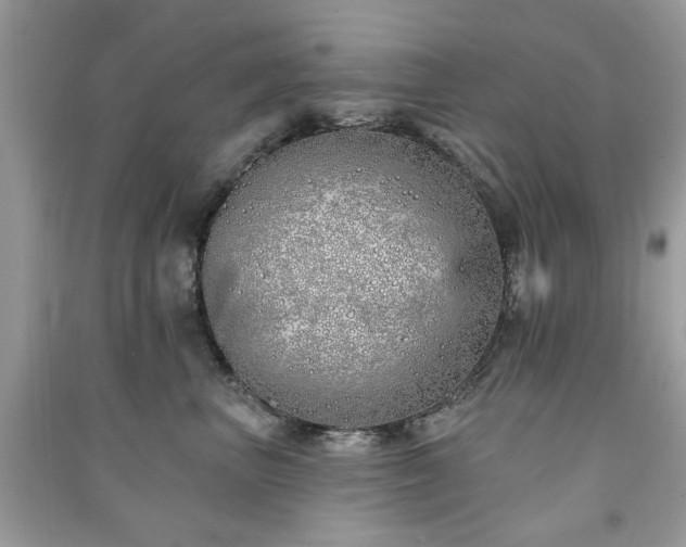 X0000091370667200708101533