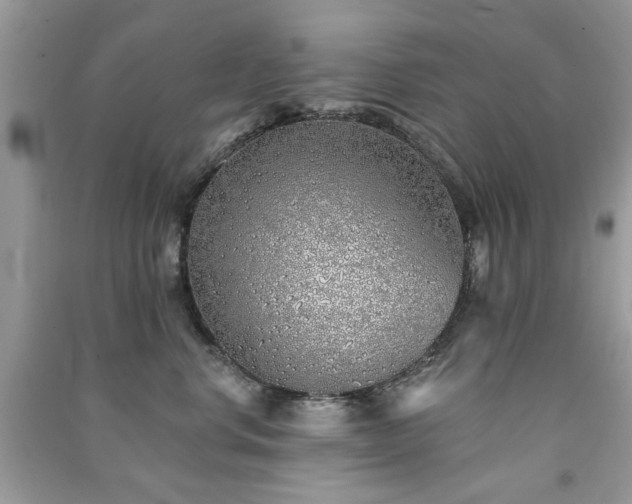 X0000091370668200708101533