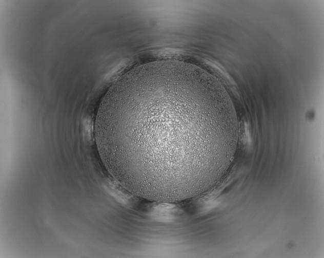 X0000091370669200708101533