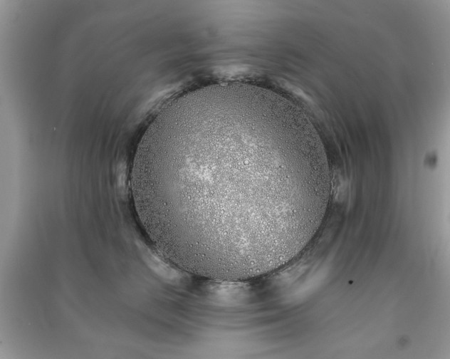 X0000091370670200708101533