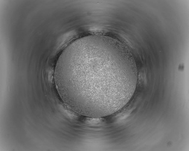 X0000091370671200708101533