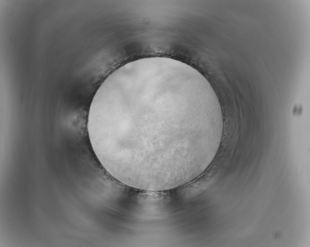 X0000091370672200708101533