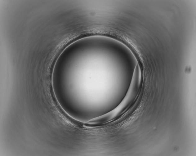 X0000091370673200708101533