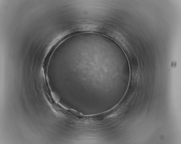 X0000091370674200708101533