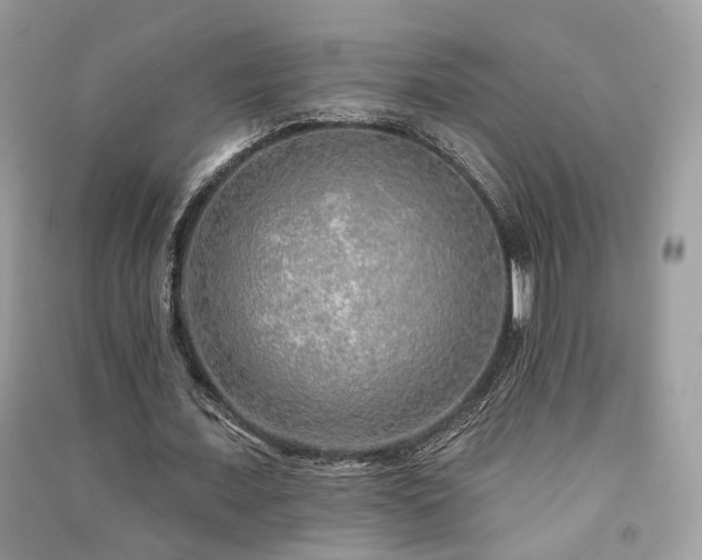 X0000091370675200708101533