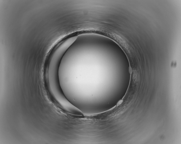 X0000091370676200708101533