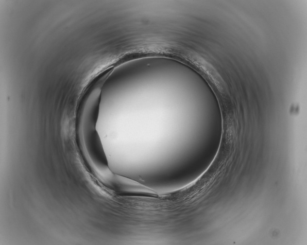 X0000091370677200708101533