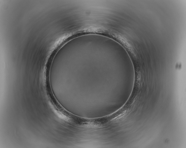 X0000091370678200708101533