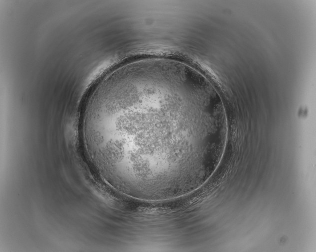 X0000091370679200708101533