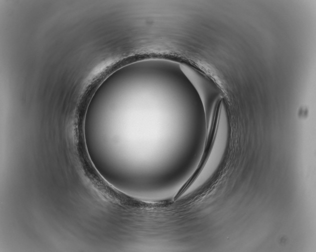 X0000091370680200708101533