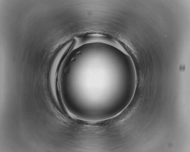 X0000091370681200708101533