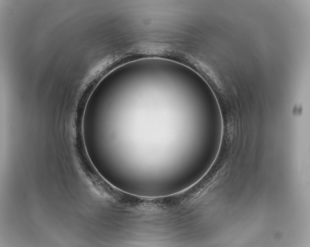 X0000091370682200708101533