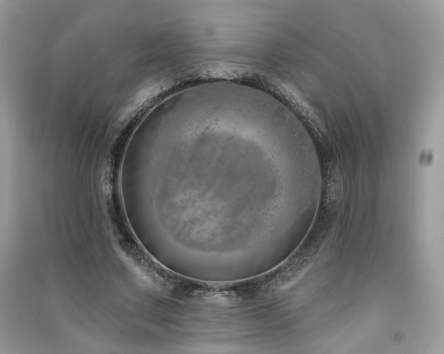 X0000091370683200708101533