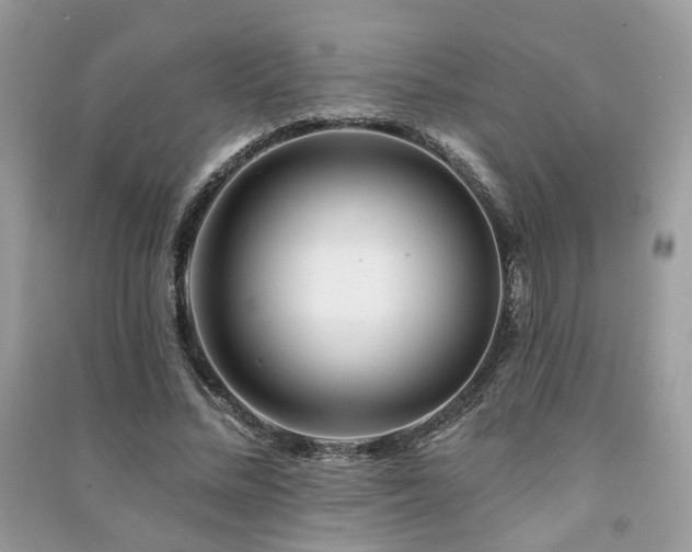 X0000091370684200708101533