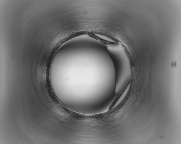 X0000091370685200708101533