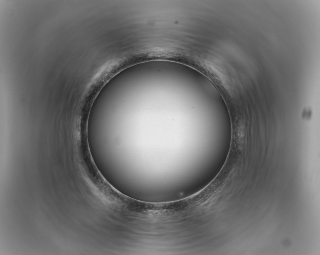 X0000091370686200708101533