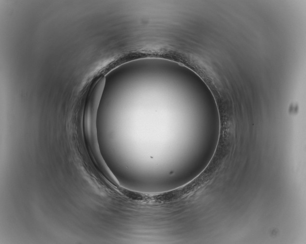 X0000091370688200708101533