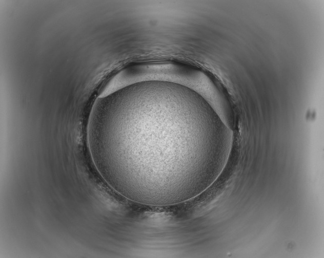 X0000091370689200708101533