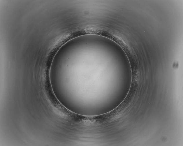 X0000091370690200708101533