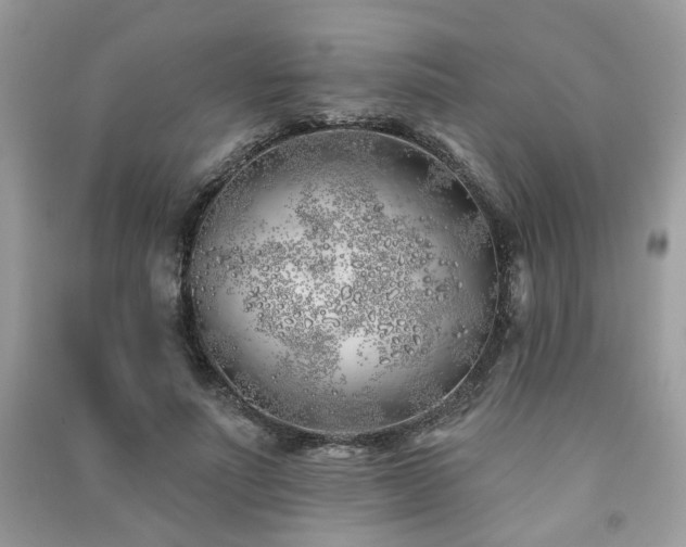 X0000091370691200708101533