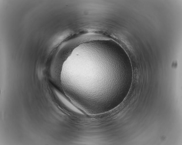 X0000091370692200708101533