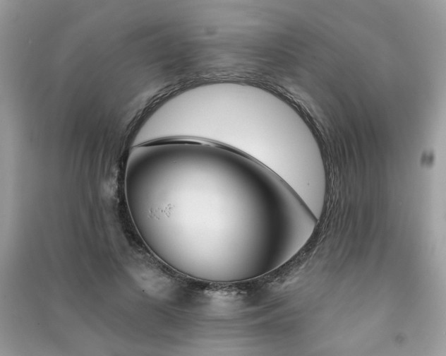 X0000091370693200708101533