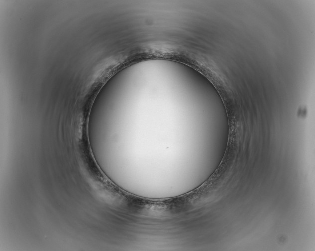 X0000091370694200708101533