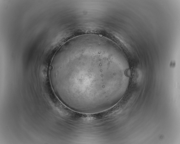 X0000091370695200708101533