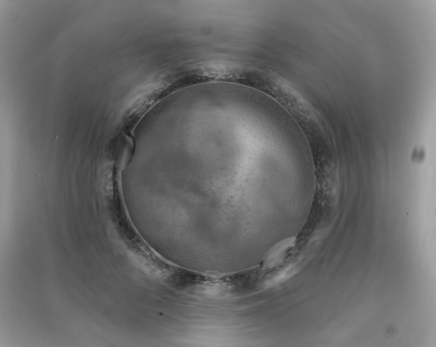 X0000091370696200708101533