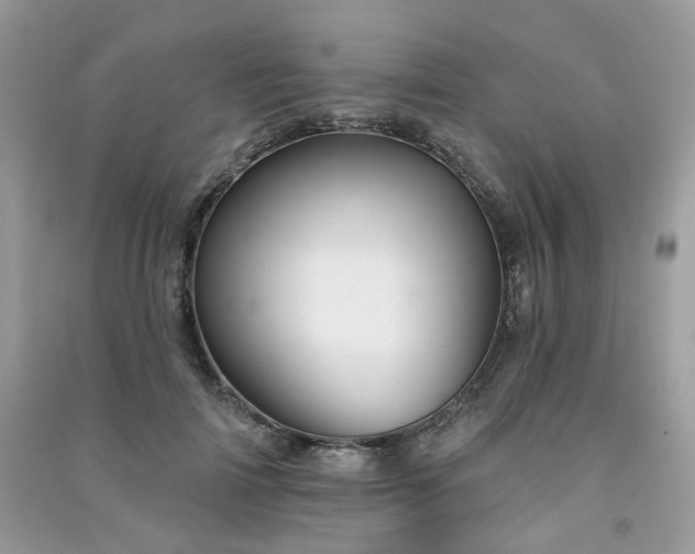 X0000091370698200708101533