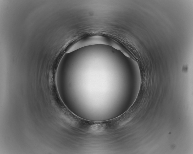 X0000091370700200708101532