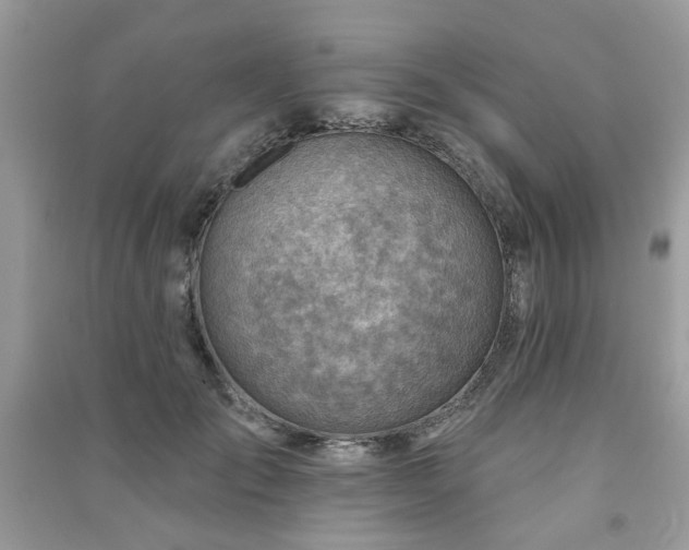 X0000091370701200708101532