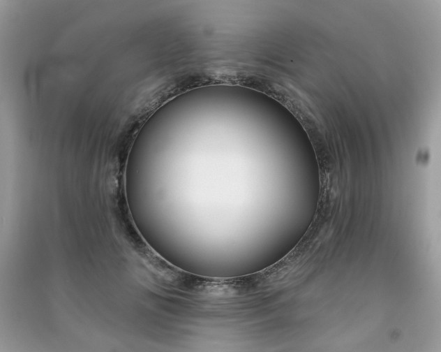 X0000091370702200708101532