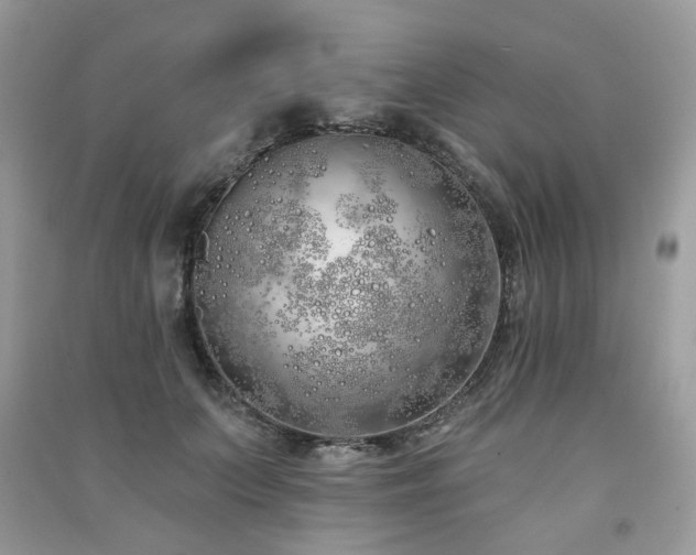 X0000091370703200708101532