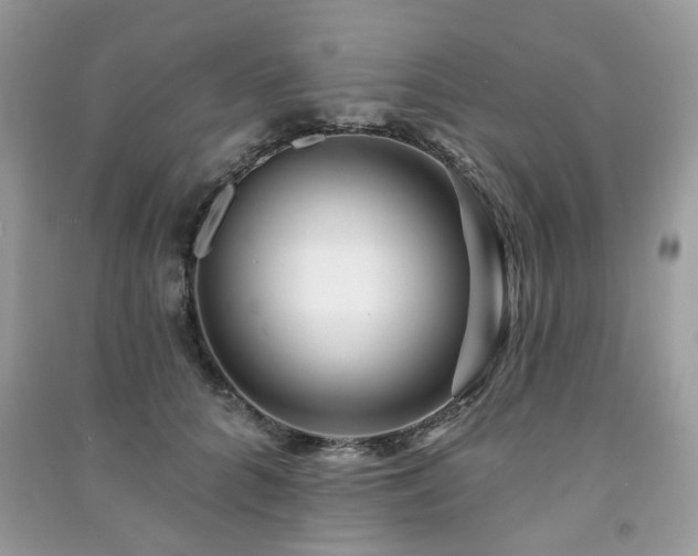 X0000091370704200708101532