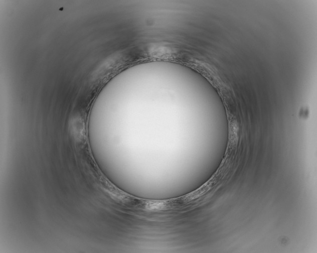 X0000091370705200708101532