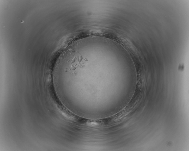 X0000091370706200708101532