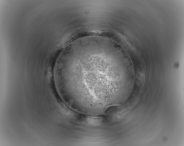 X0000091370707200708101532