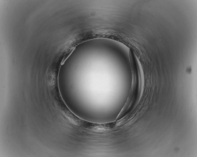 X0000091370708200708101532