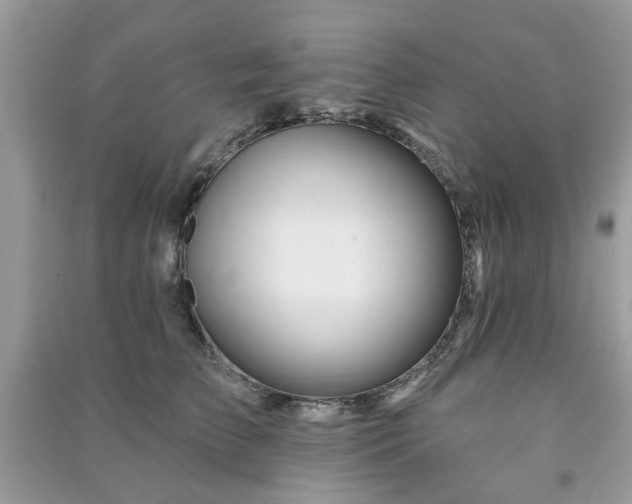 X0000091370709200708101532